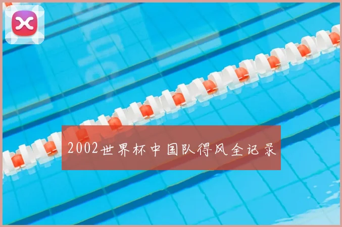 2002世界杯中国队得风全记录