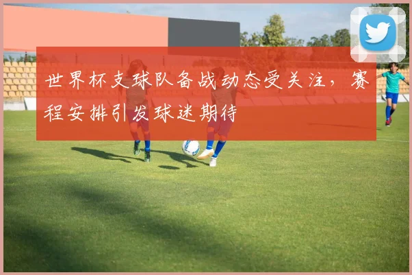 世界杯支球队备战动态受关注,赛程安排引发球迷期待