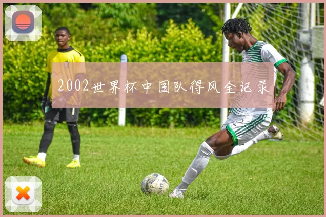 2002世界杯中国队得风全记录