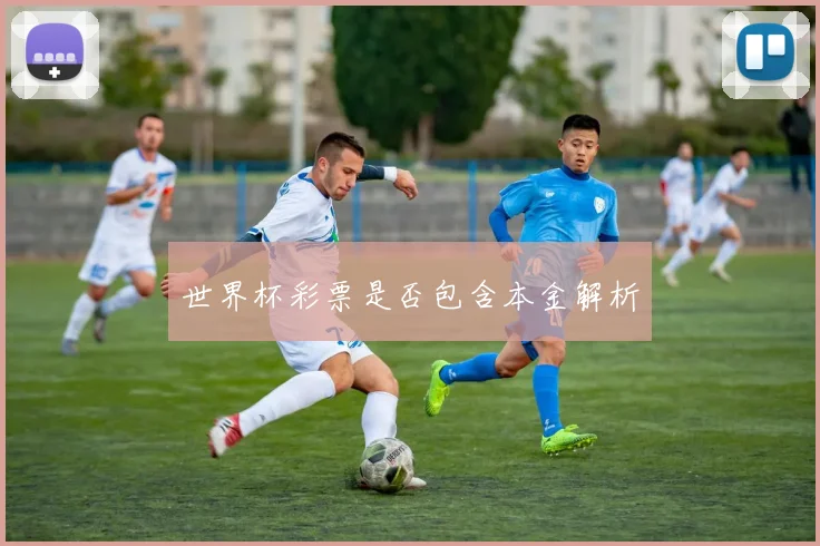 世界杯彩票是否包含本金解析