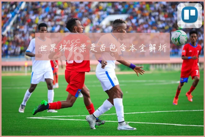 世界杯彩票是否包含本金解析