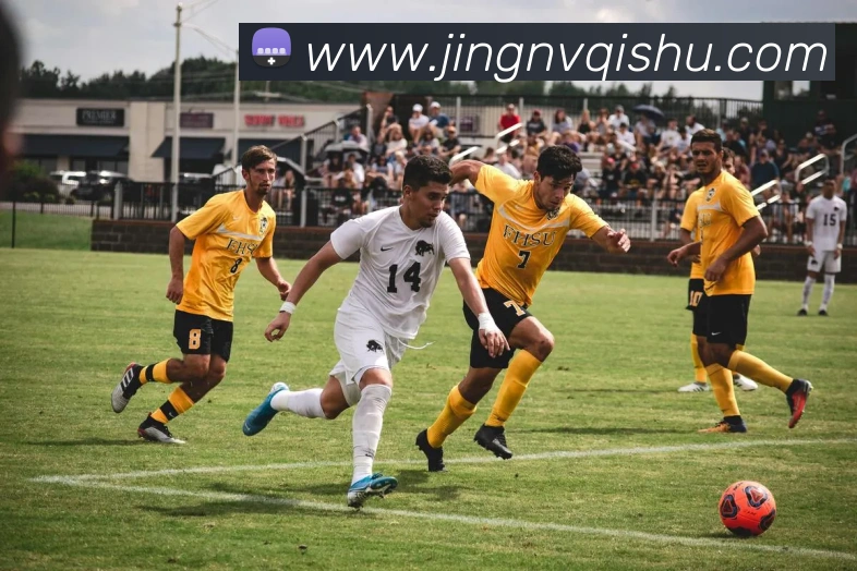 多媒体互动体验